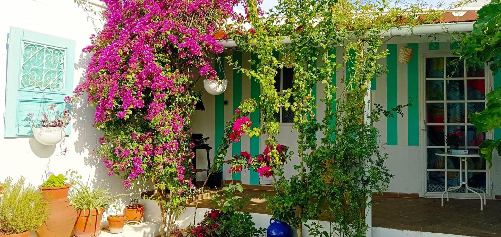 Casa Con Piscina Cerca De Sevilla Carrion de Los Cespedes Екстериор снимка