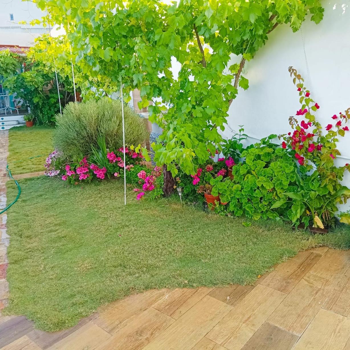 Casa Con Piscina Cerca De Sevilla Carrion de Los Cespedes Екстериор снимка